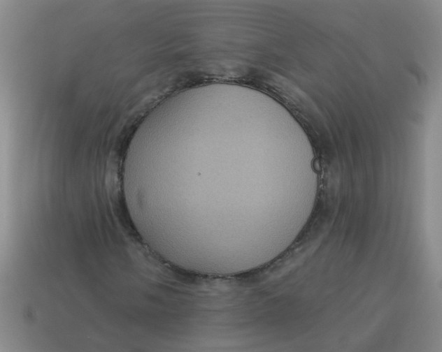 X0000113881058200910151308