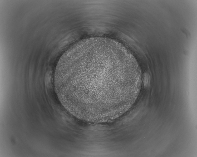 X0000113881059200910151308