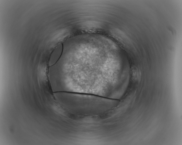 X0000113881060200910151308