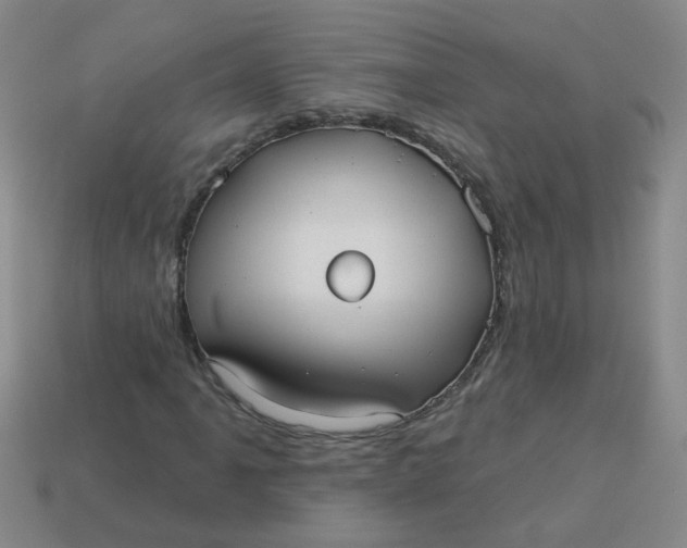 X0000113881061200910151308