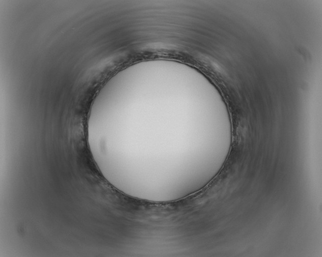 X0000113881062200910151308