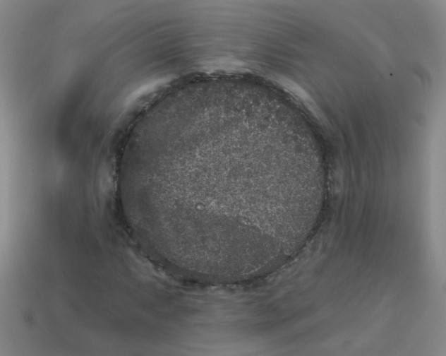 X0000113881063200910151308