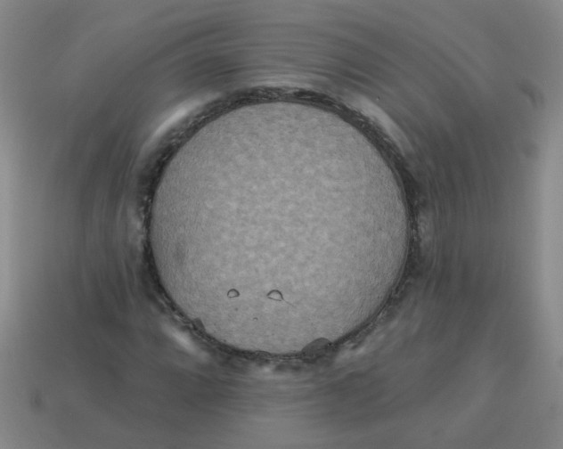 X0000113881064200910151308