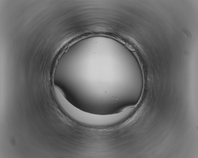 X0000113881065200910151308