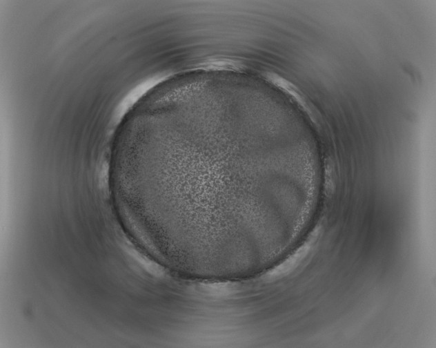 X0000113881066200910151308