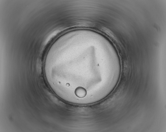 X0000113881067200910151308