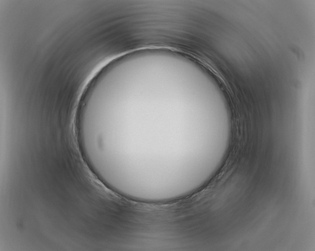 X0000113881068200910151308