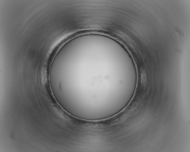 X0000113881069200910151308