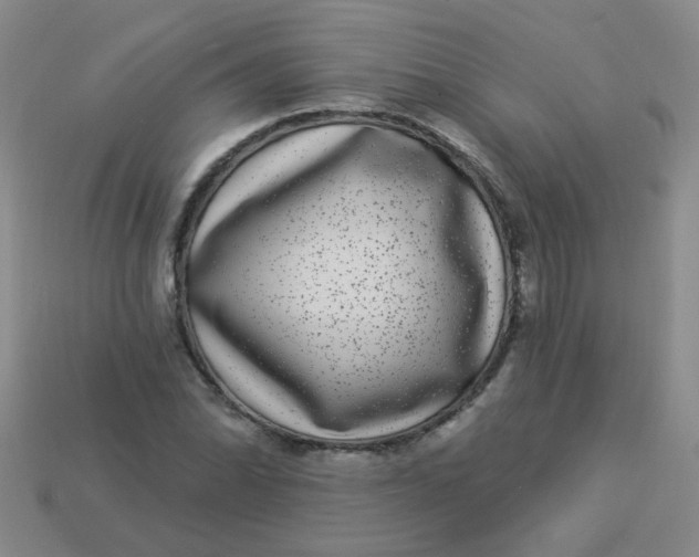 X0000113881070200910151308