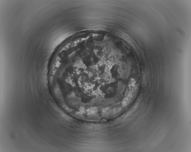 X0000113881071200910151308