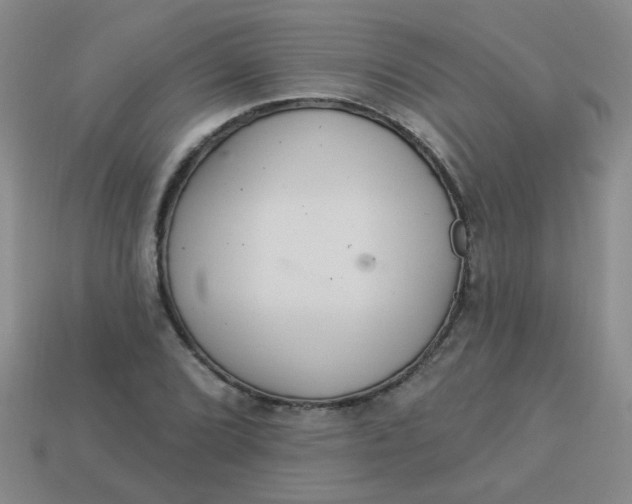 X0000113881072200910151308