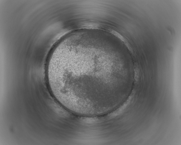 X0000113881074200910151308