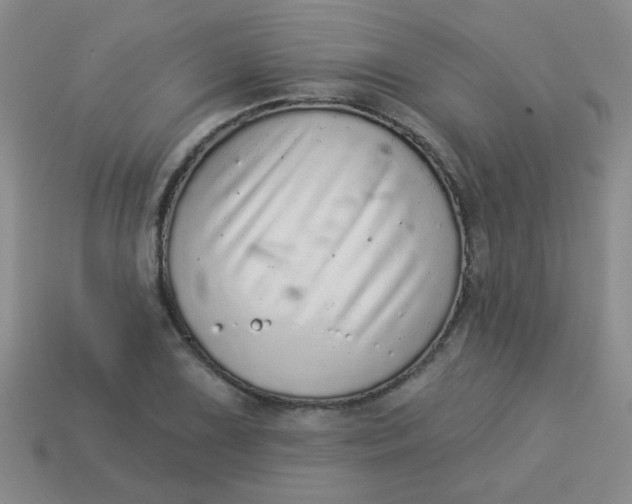 X0000113881075200910151308