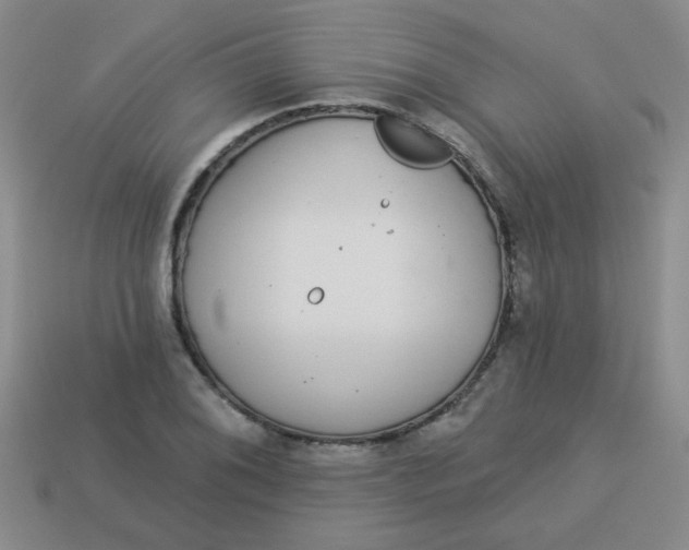 X0000113881076200910151308