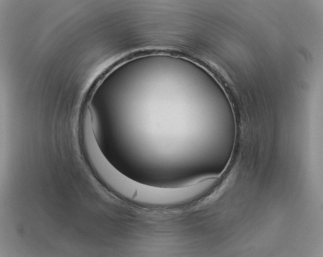 X0000113881077200910151308