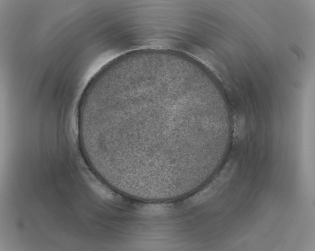 X0000113881078200910151308