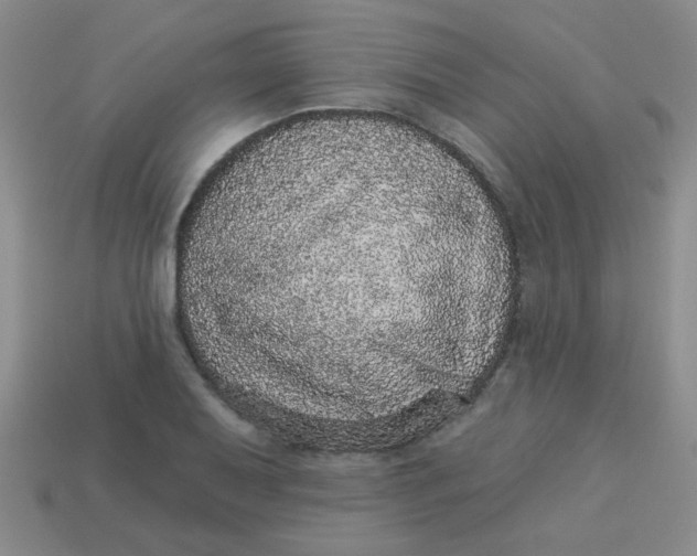 X0000113881079200910151308