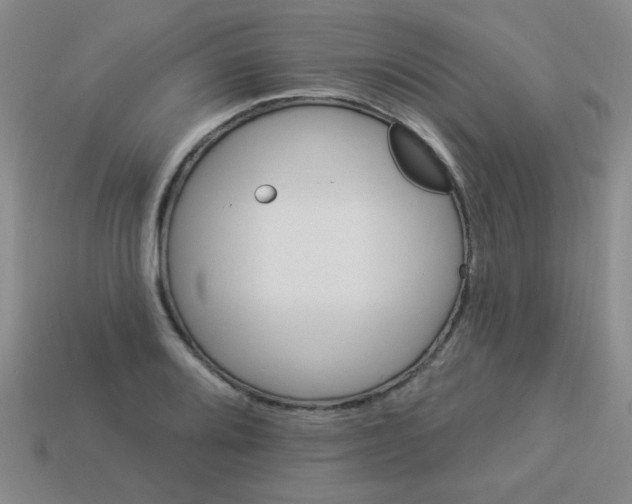 X0000113881080200910151308