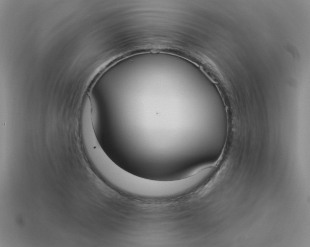 X0000113881081200910151308