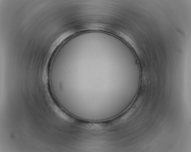 X0000113881082200910151308