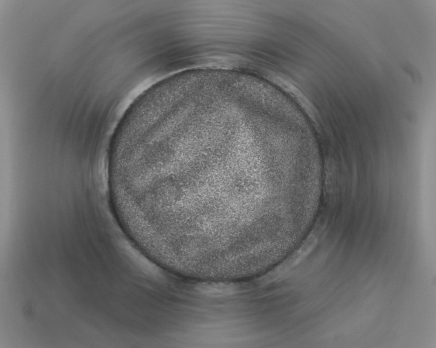 X0000113881083200910151308