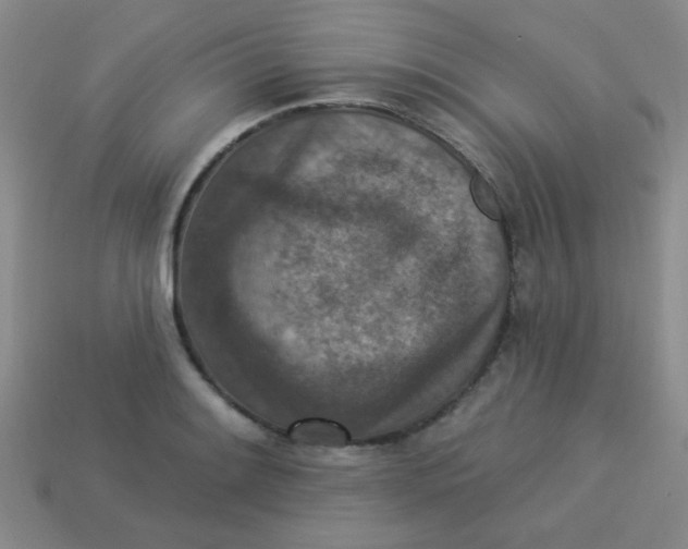 X0000113881084200910151308