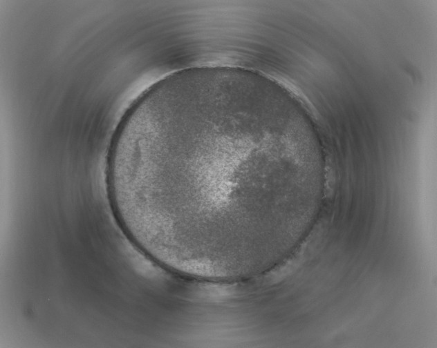 X0000113881086200910151308