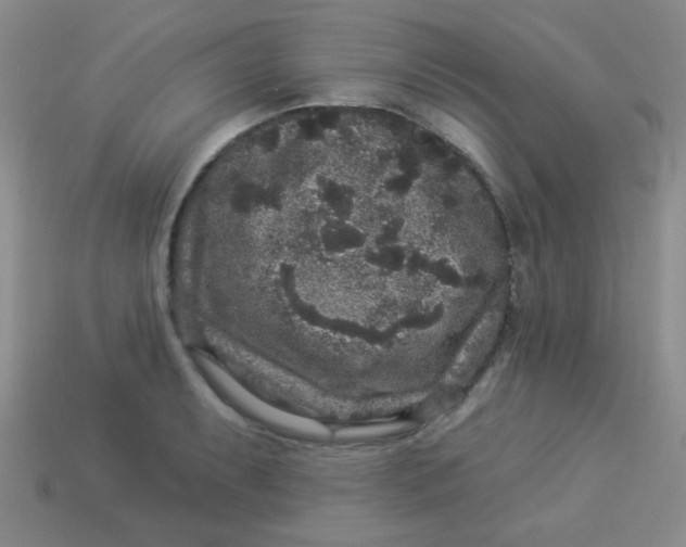 X0000113881087200910151308