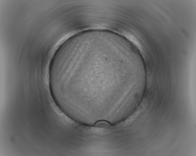 X0000113881088200910151308