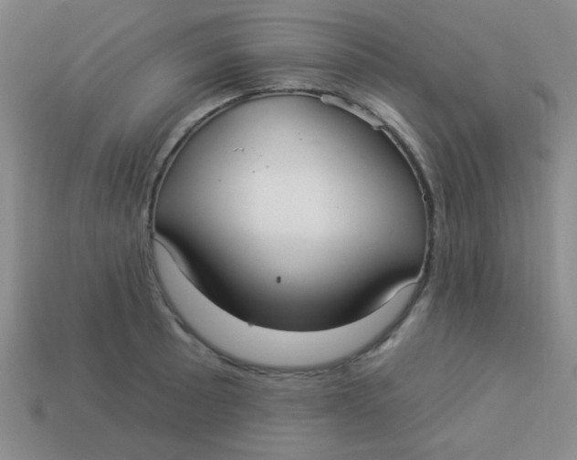 X0000113881089200910151308