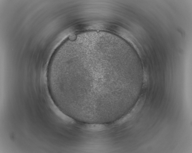 X0000113881090200910151308