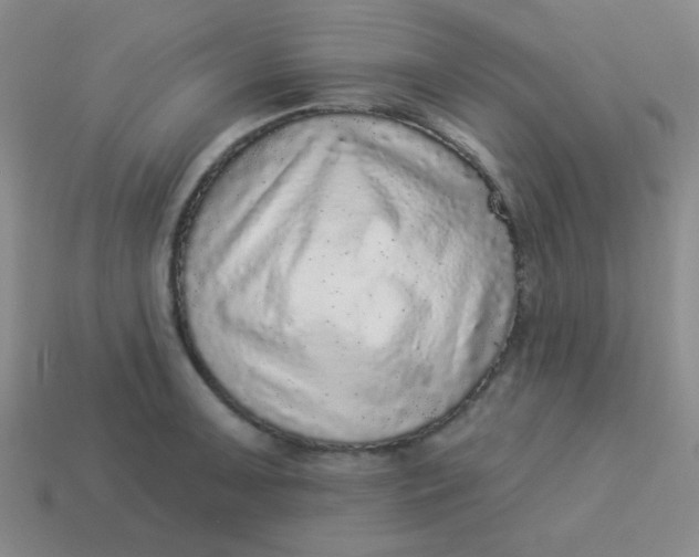 X0000113881091200910151308