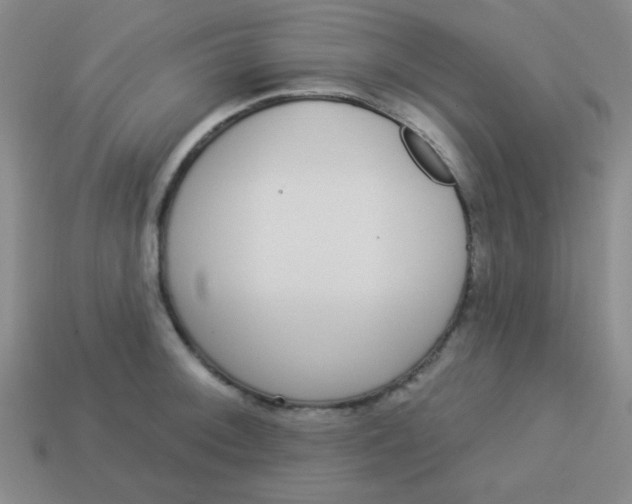 X0000113881092200910151308