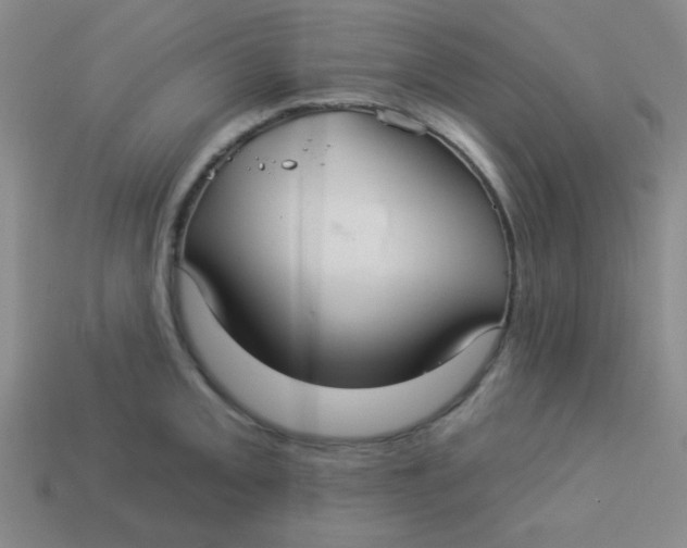 X0000113881093200910151308