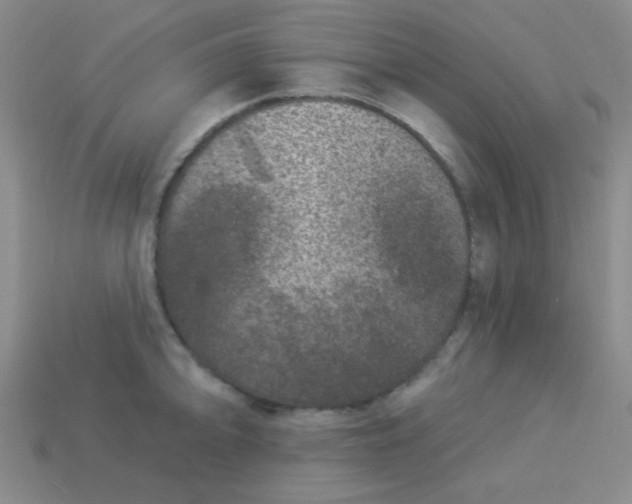 X0000113881094200910151308