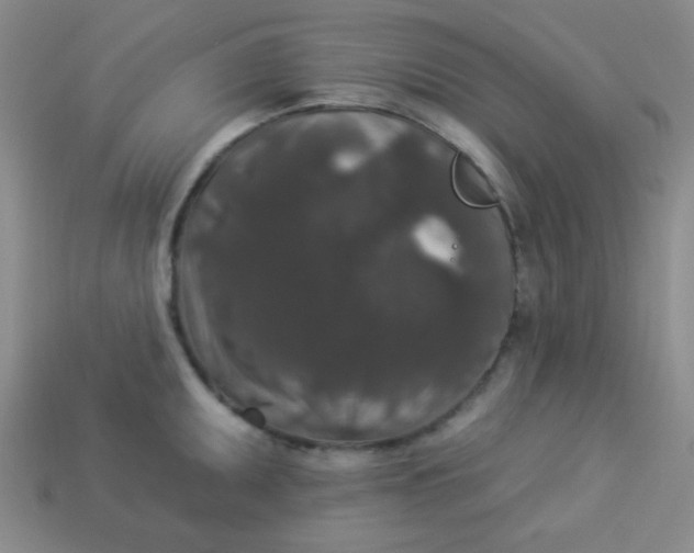 X0000113881095200910151308