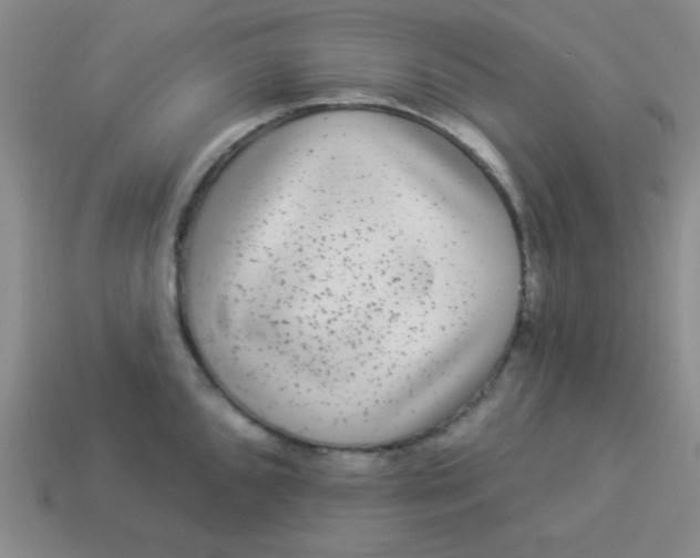 X0000113881096200910151308