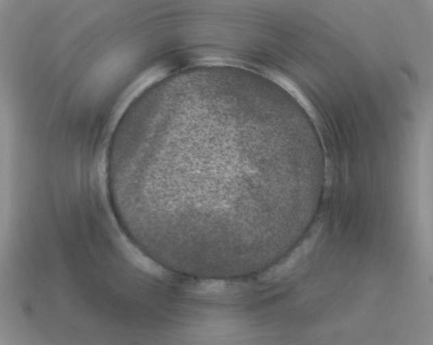 X0000113881098200910151308