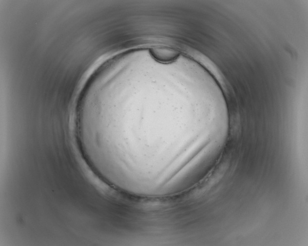 X0000113881099200910151308