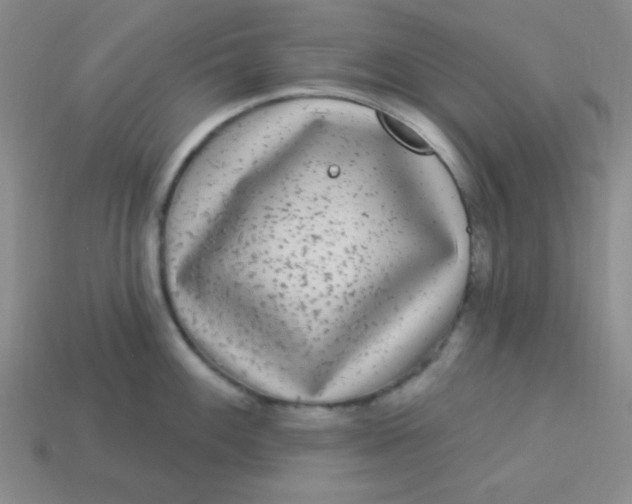 X0000113881100200910151308