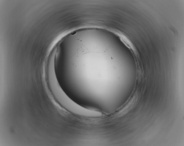 X0000113881101200910151308