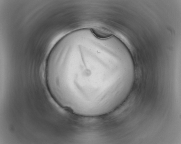 X0000113881103200910151308