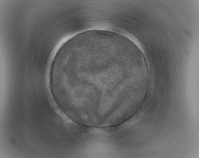 X0000113881104200910151308