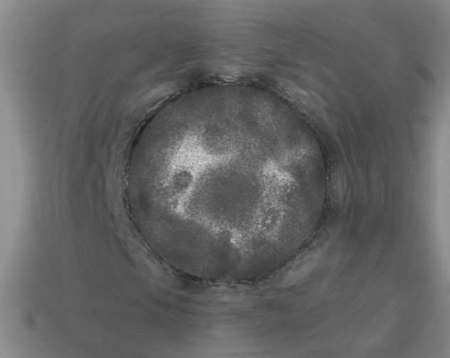 X0000113881105200910151307