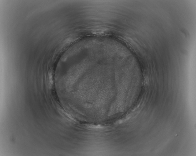 X0000113881106200910151307