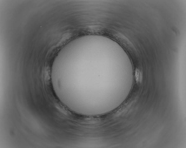 X0000113881107200910151307