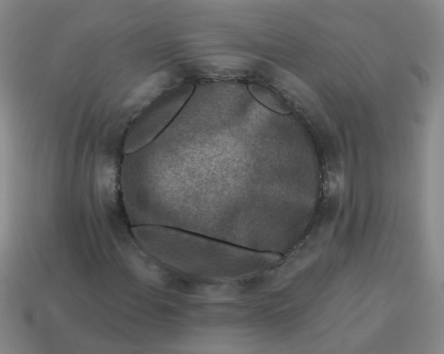 X0000113881108200910151307