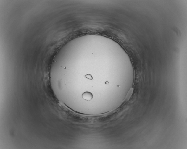 X0000113881109200910151307