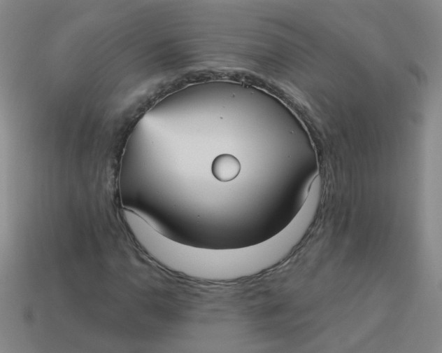 X0000113881110200910151307