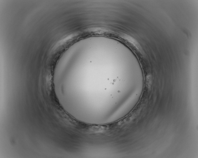 X0000113881111200910151307